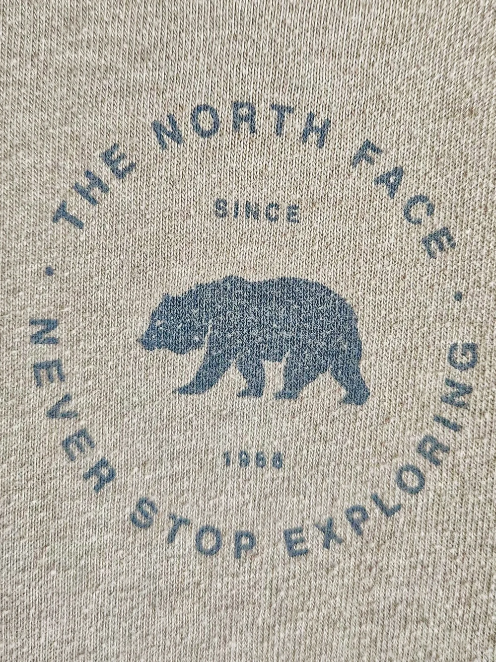 The North Face Men's Gray Pullover Hoodie